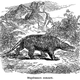 Illustration for article titled Strange 19th Century Drawings of Dinosaurs and Other Extinct Animals
